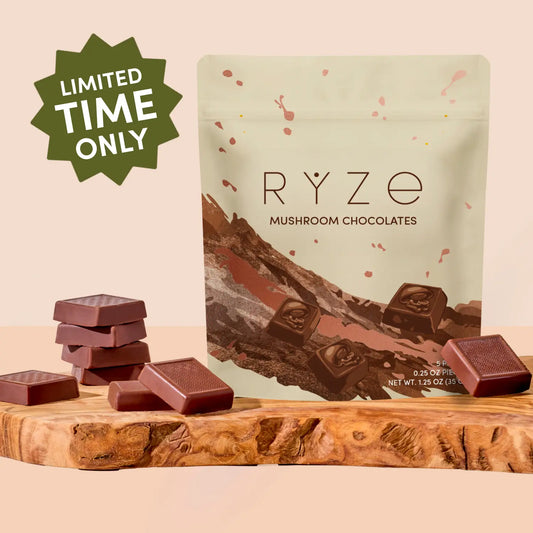 Mushroom Chocolates Rye (15 pieces) - XNRV