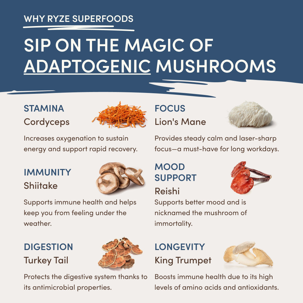 RYZE Nighttime Mushroom Cocoa Starter Bag - RY5K