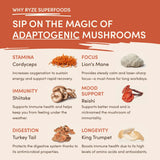 Mushroom Coffee (1 pack - 30 Servings) - SPE9
