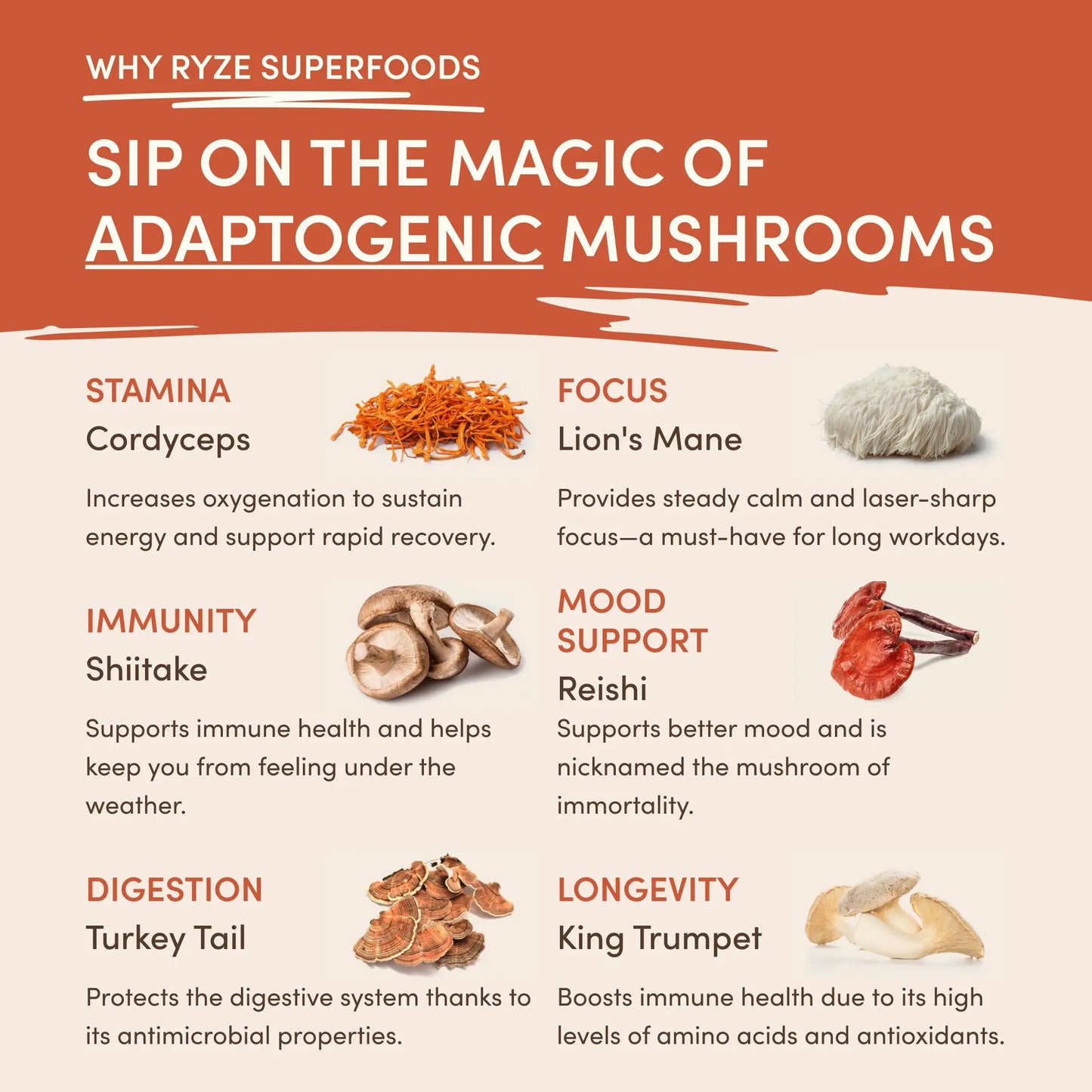 Mushroom Coffee (1 pack - 30 Servings) - SPE9