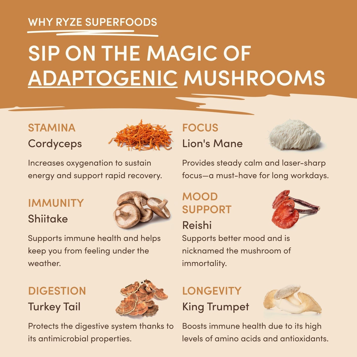 Mushroom Overnight Oats 14 Servings - KLCL