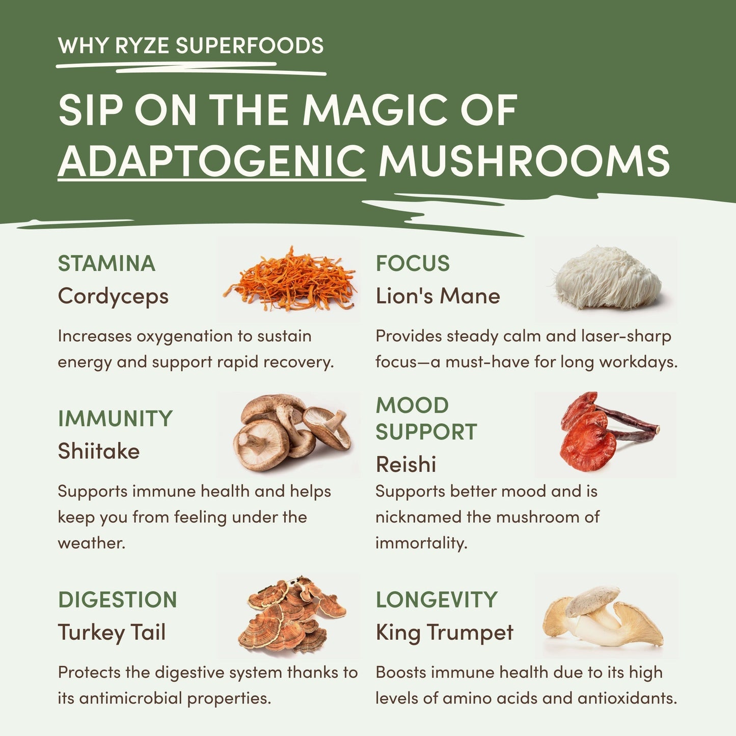 Mushroom Matcha (1 Pack - 30 Servings) - JM9N