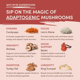Mushroom Chai (1 Pack - 20 Servings) - ZAOF