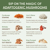 Mushroom Matcha Starter Kit (60 Servings) - 31CS