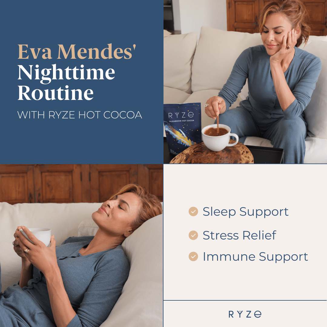 RYZE Hot Cocoa - with 6 Sleep Superfoods to Help Fall Asleep and Stay Asleep - SI1B