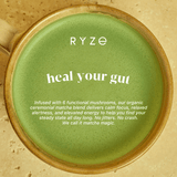 RYZE Mushroom Matcha - with 6 Organic Adaptogenic Mushrooms Grown In USA and Ceremonial-Grade Japanese Matcha - MJ9H