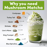 RYZE Organic Mushroom Matcha Starter Kit (60 servings) - Q14R