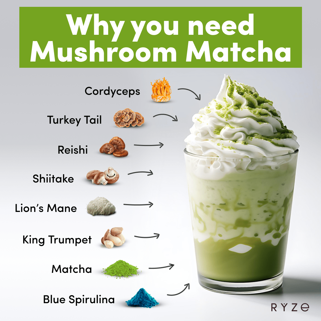 RYZE Organic Mushroom Matcha Starter Kit (60 servings) - Q14R