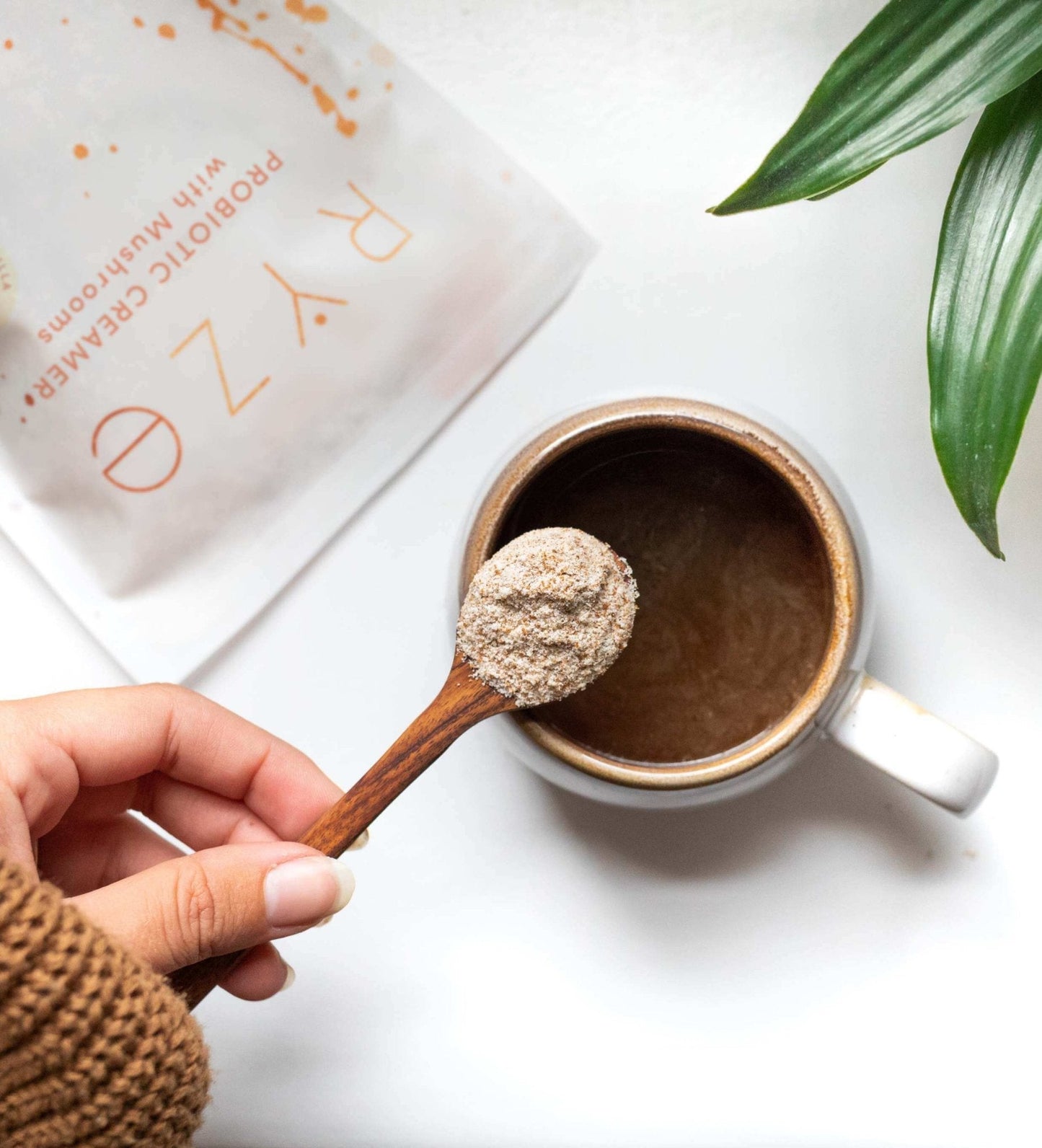 Try our Probiotic Creamer for 50% OFF! - OLO9